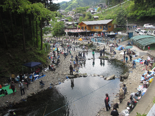 秋川国際マス釣り場